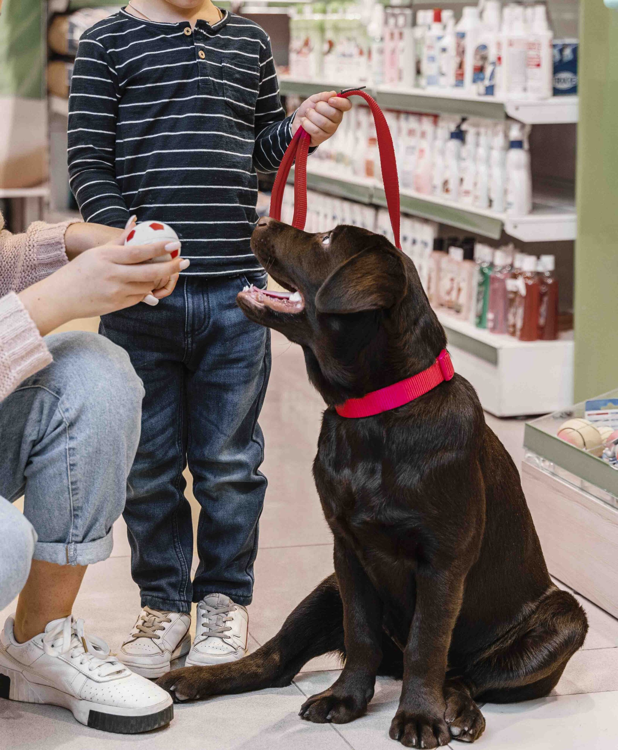 child-mother-pet-shop-with-their-dog